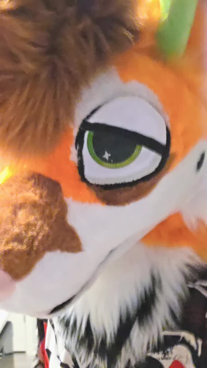 @mutt