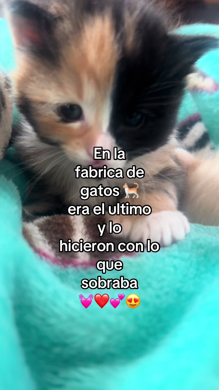 @💫⚡️✨👽pablocarbajal63👽✨⚡️💫