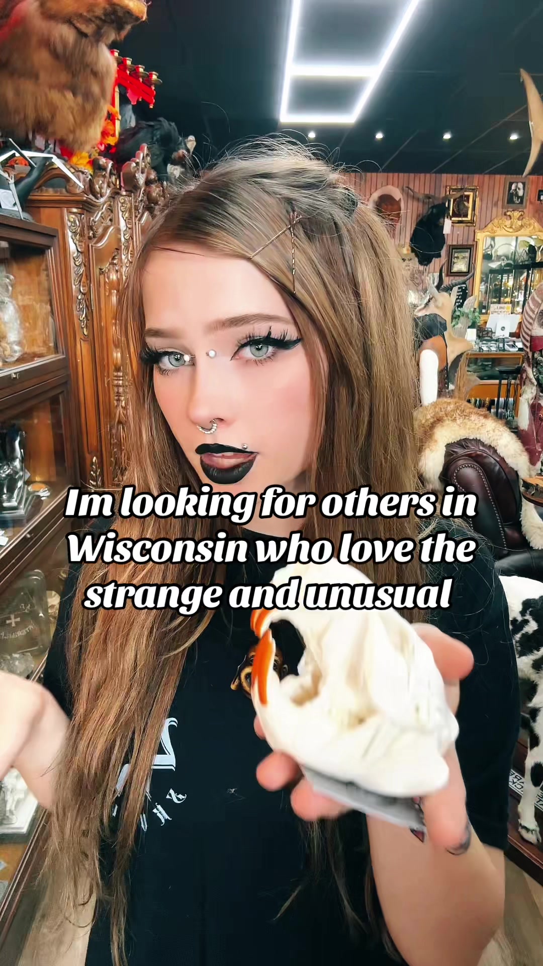 @🦄