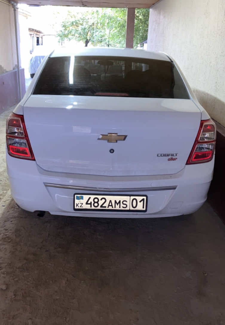 @meirbek_434_