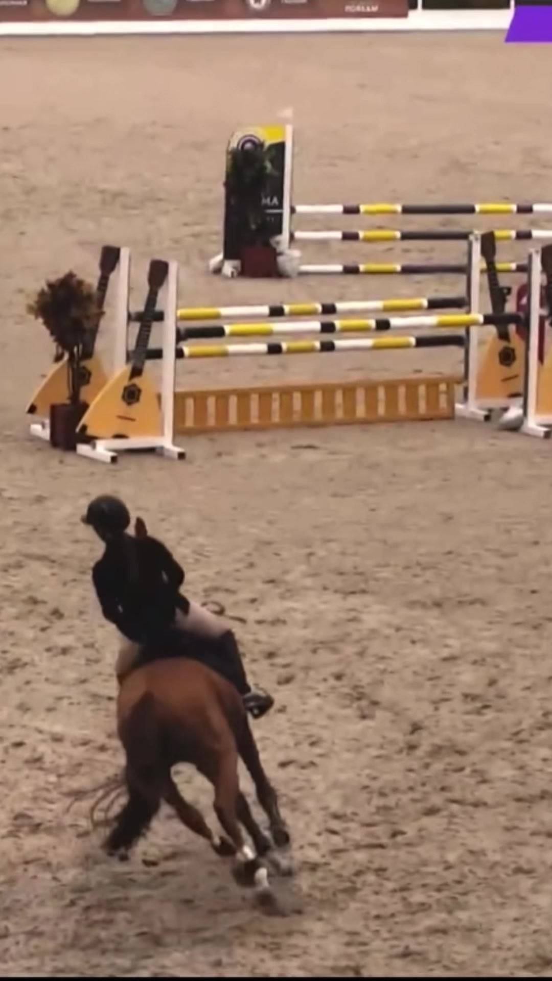 @Tгк:Margarita equestrian