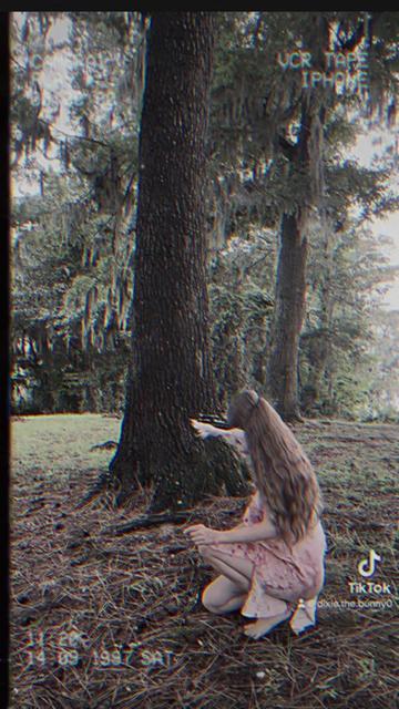 @🐰🪓 Dixie the Bunny 🪓🐰