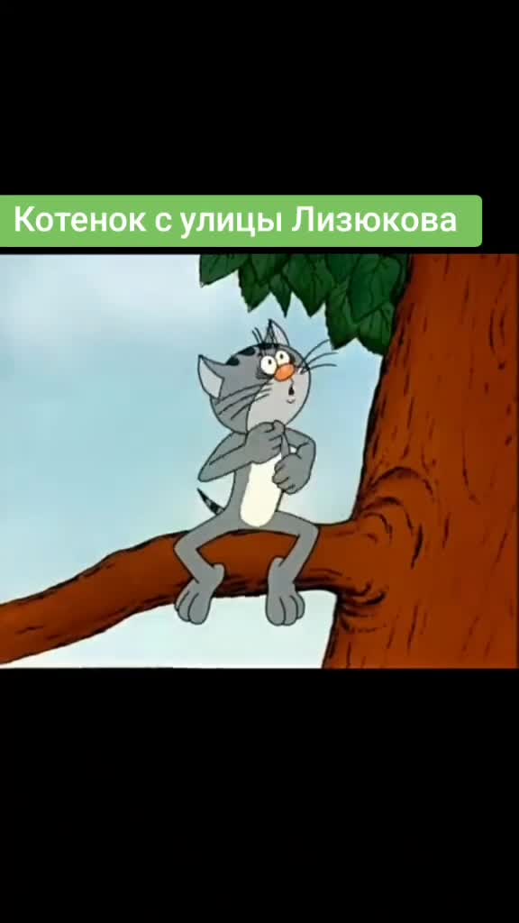 @rainkino