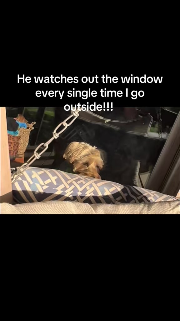 @fatjackandzoe