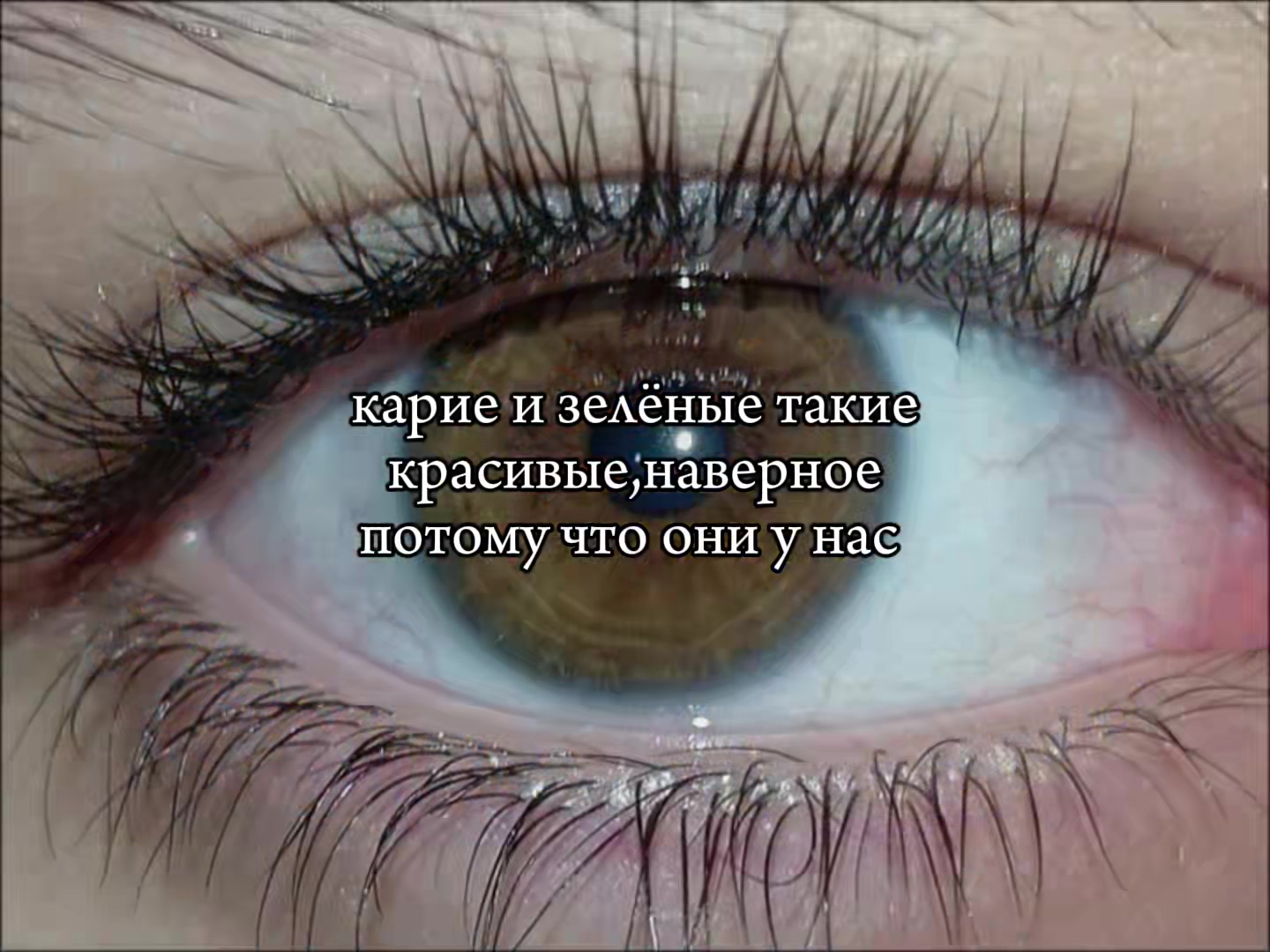 @Юн Дон Чжу