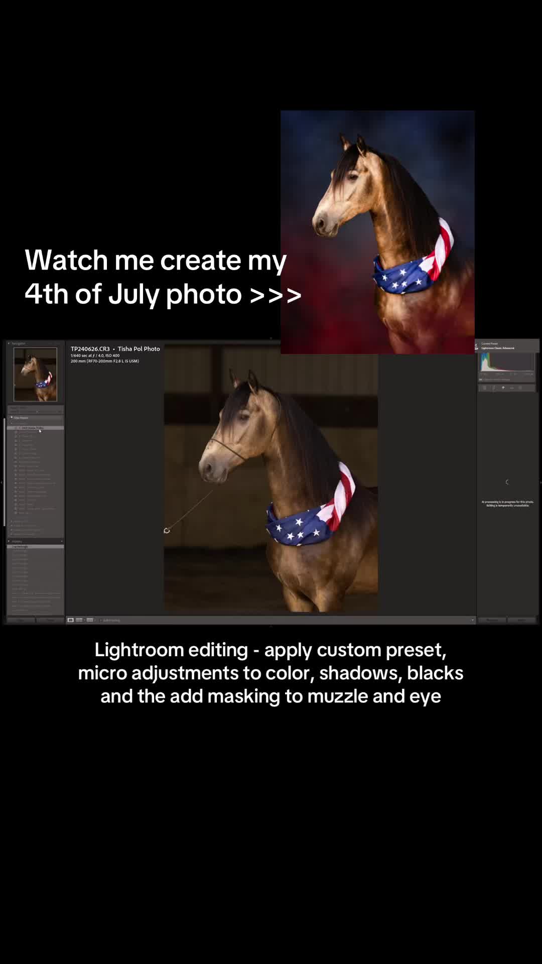 @Tisha 📸🦄 Equestrian Photog