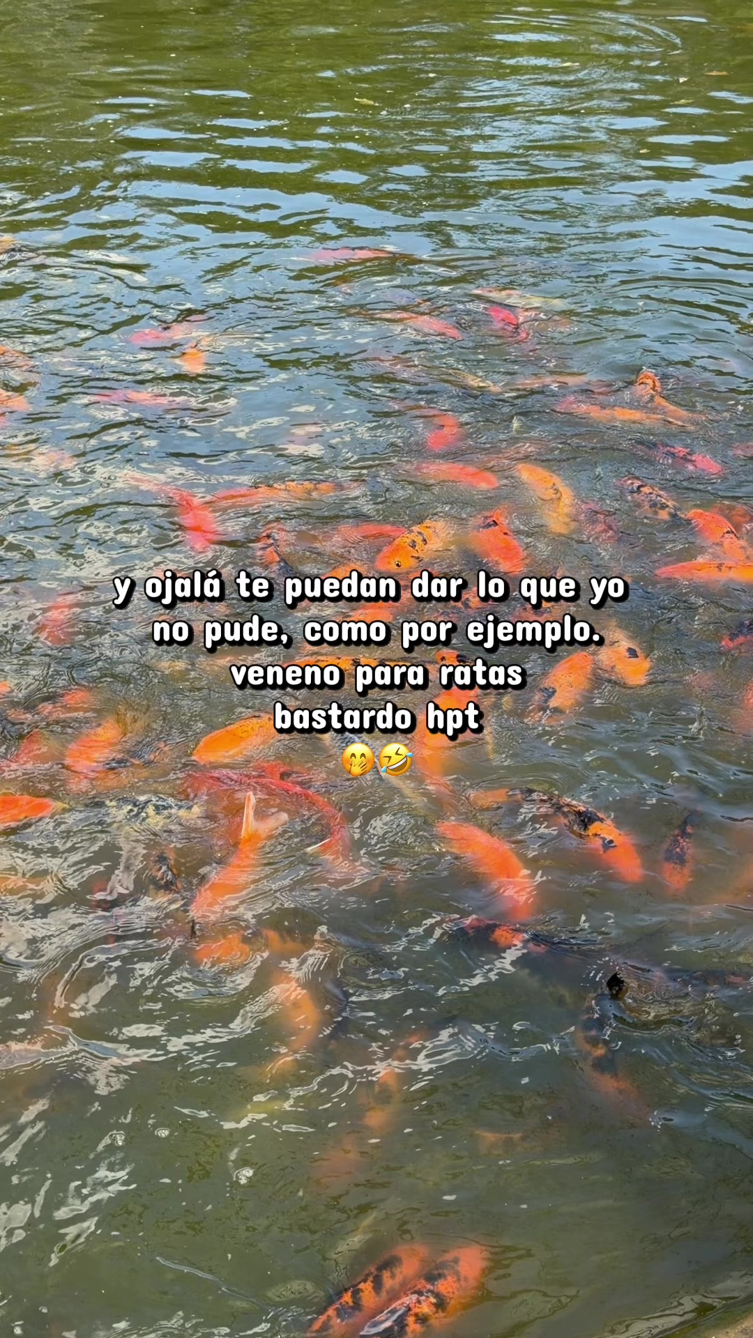 @heyjulio.g