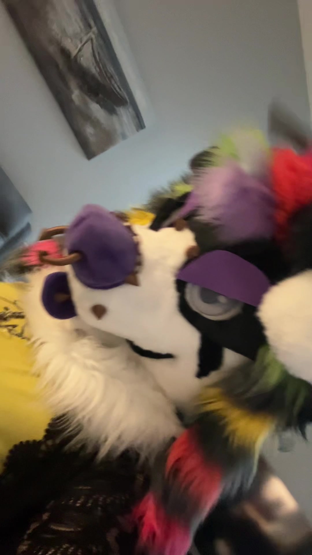 @🪽🌈 HOUND 🔜 MEGAPLEX 🐾