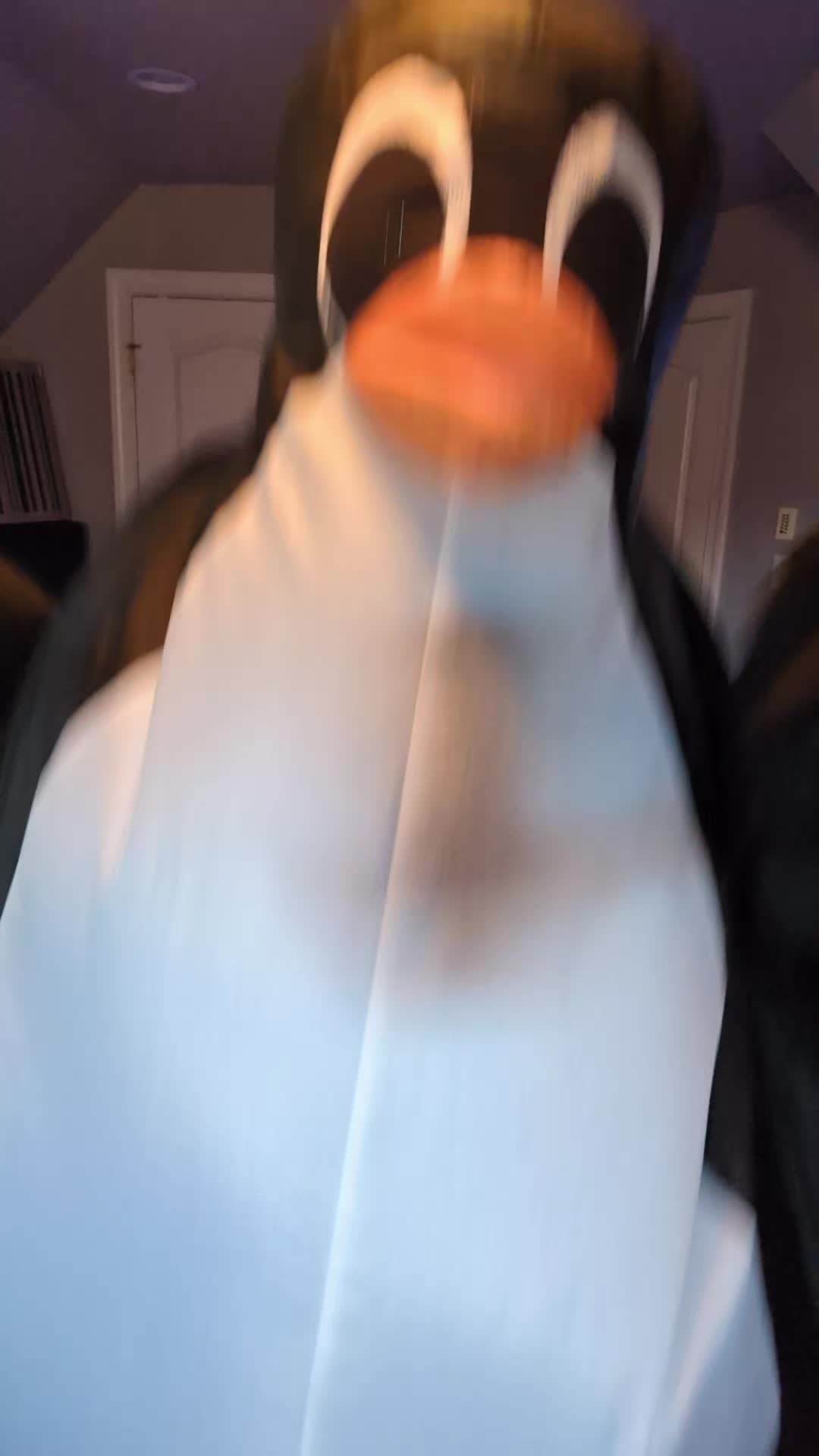 @Flipper