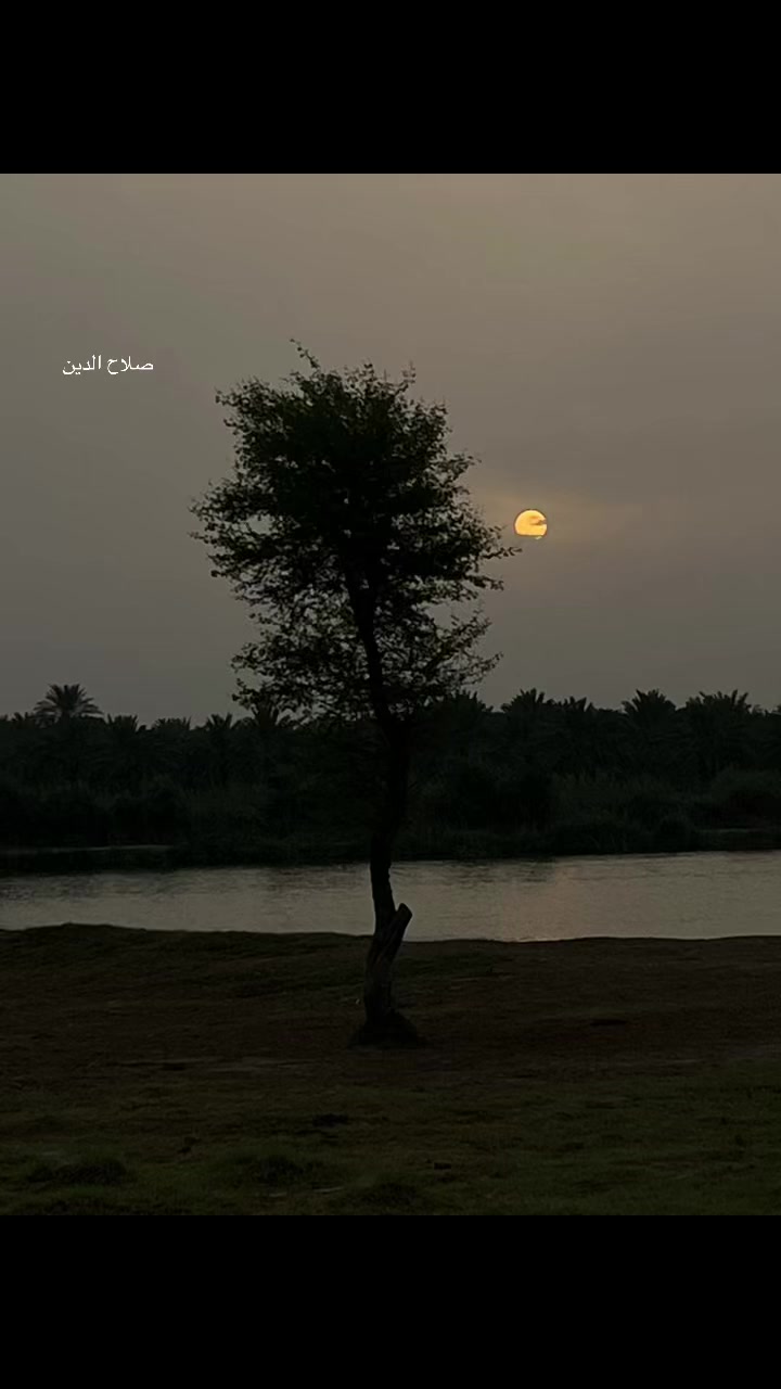 @گمنام ✍️