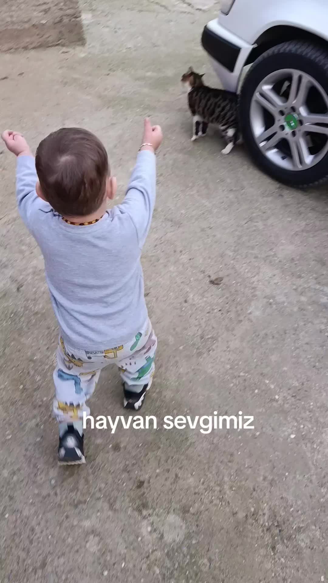 @Sevo