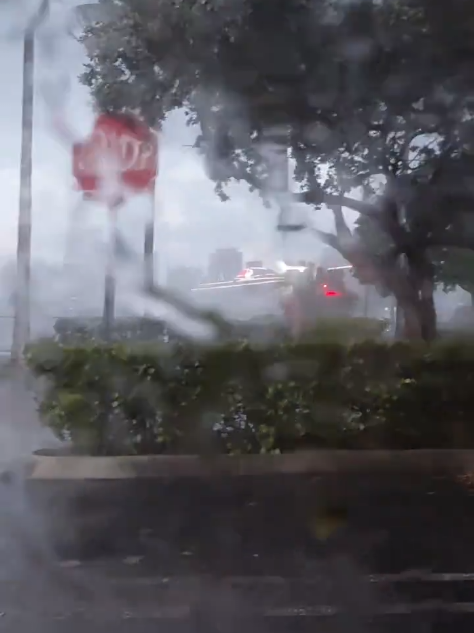 @Miami Drone Sight