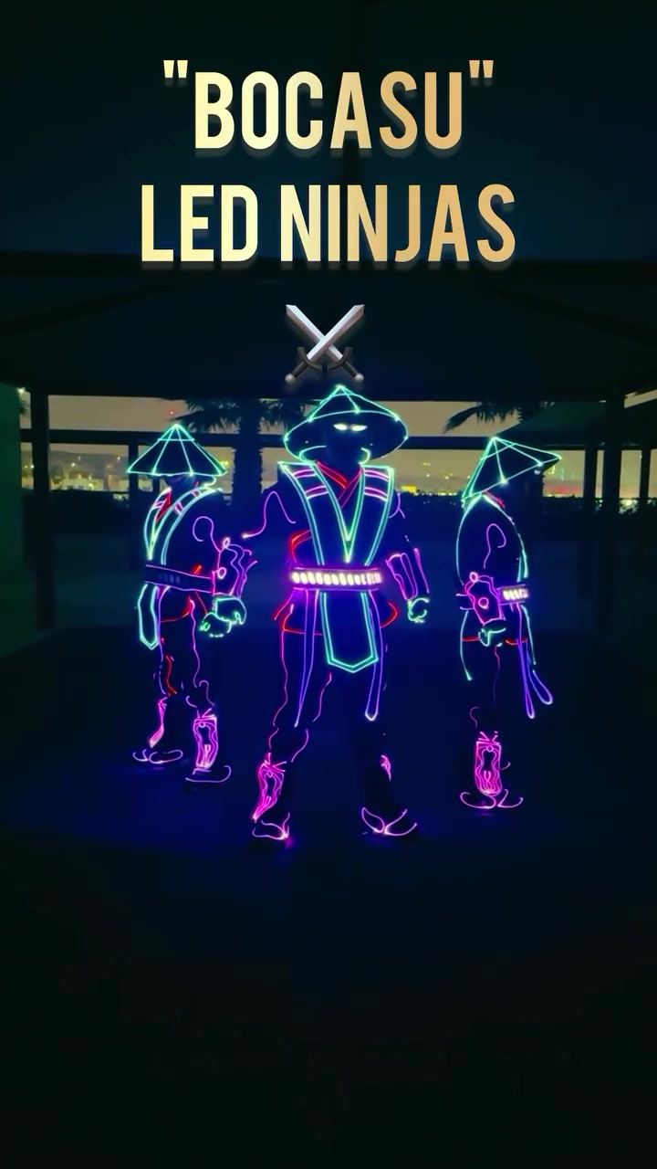 @vsledmirrorcostumes