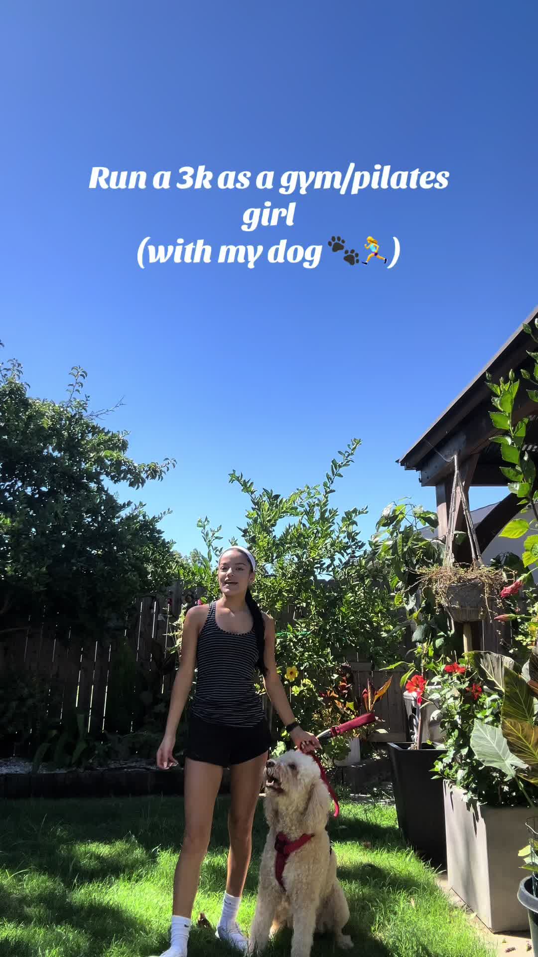 @juju