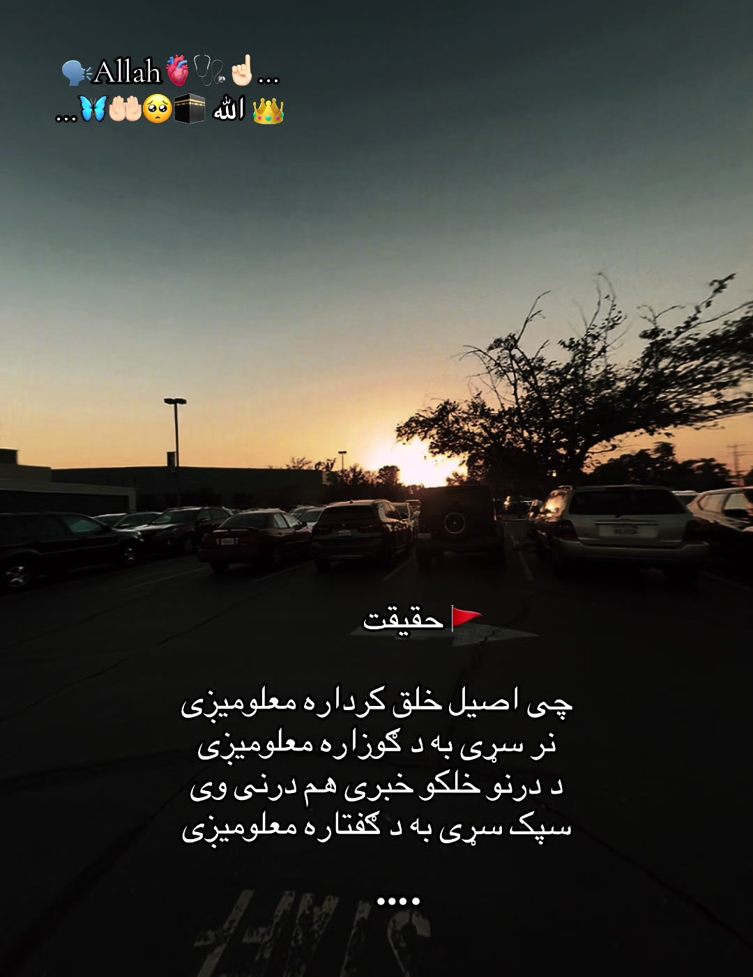 @👑🩺~Jannat~🤍🦋🇺🇸