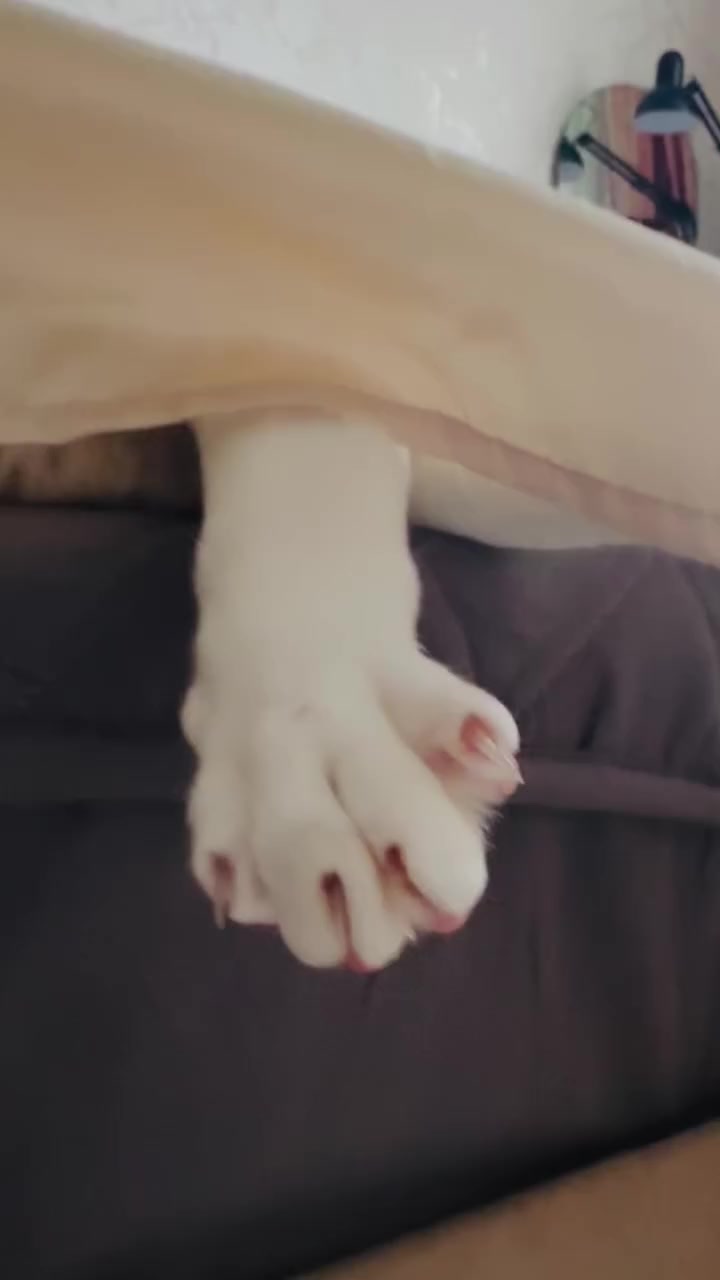 @Лев 🦁 Скавронский❤️
