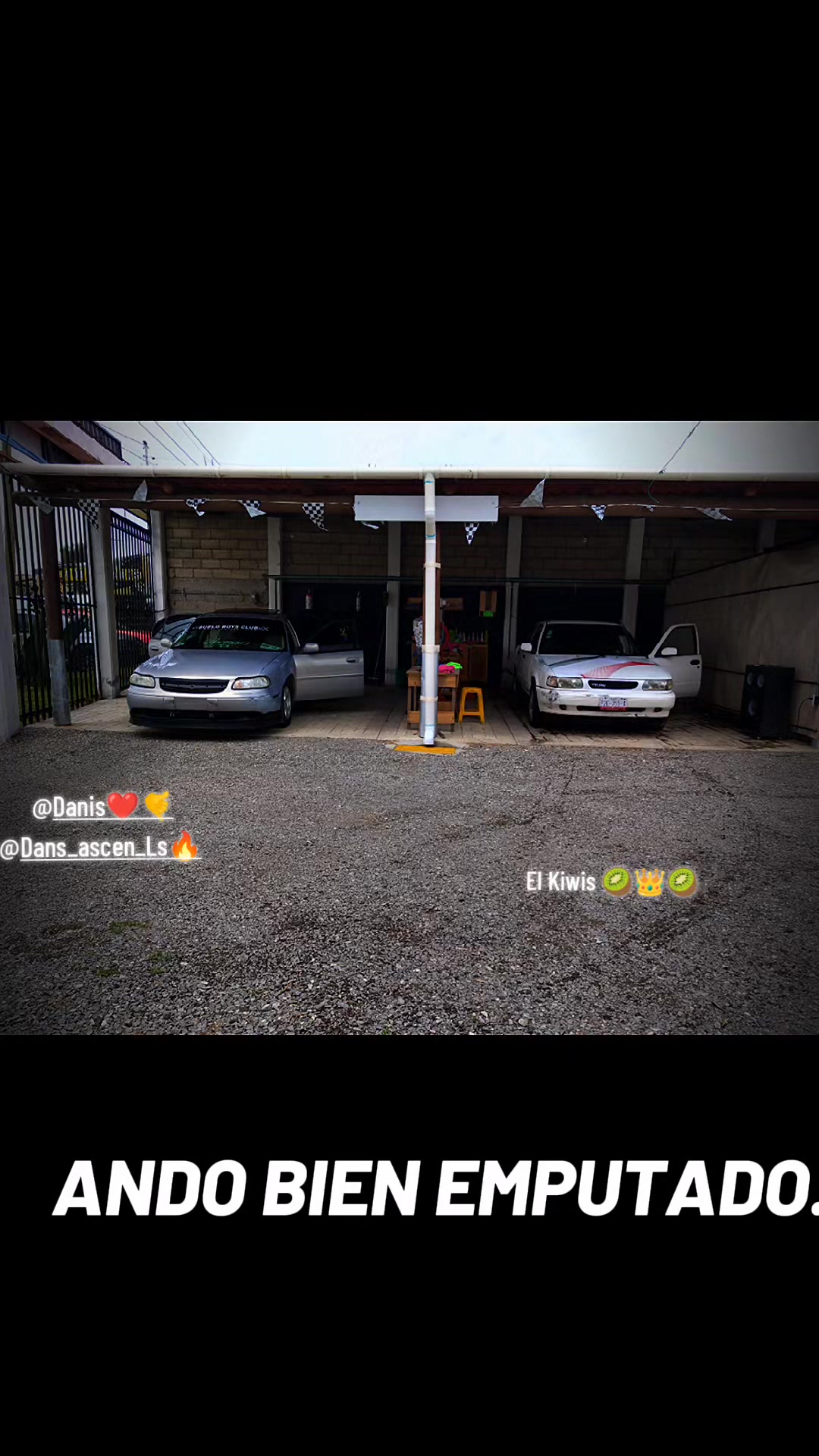 @El Kiwis 🥝👑🥝
