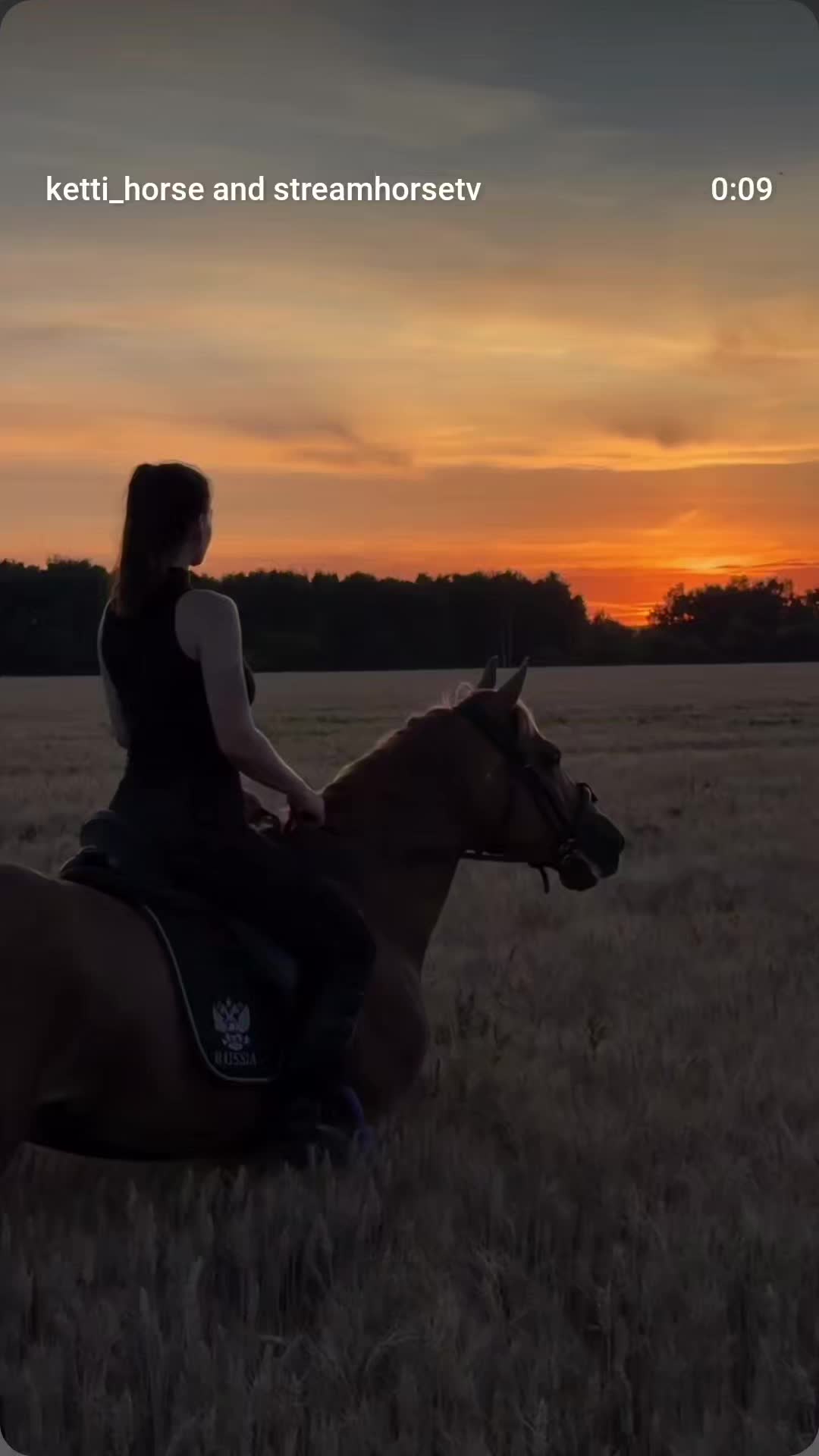 @streamhorse