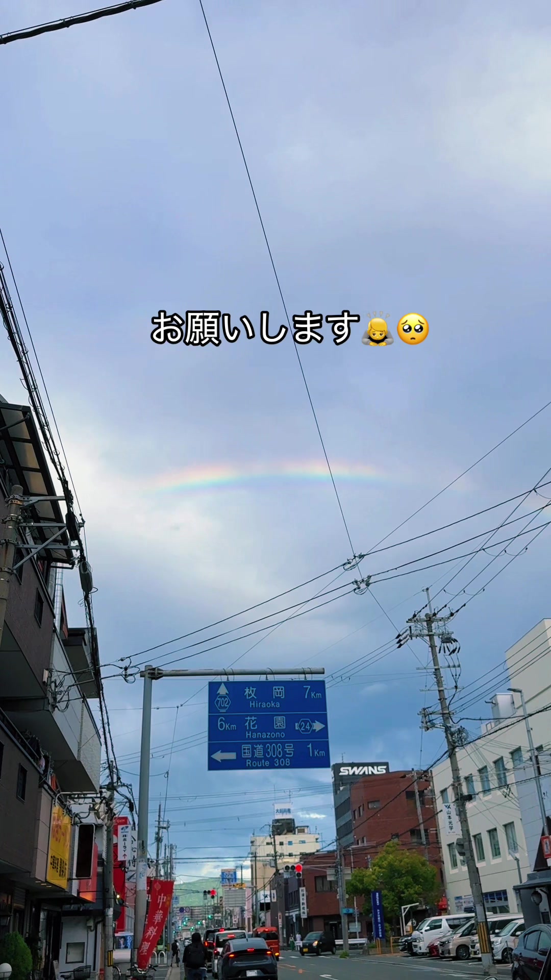@YANG SENPAI