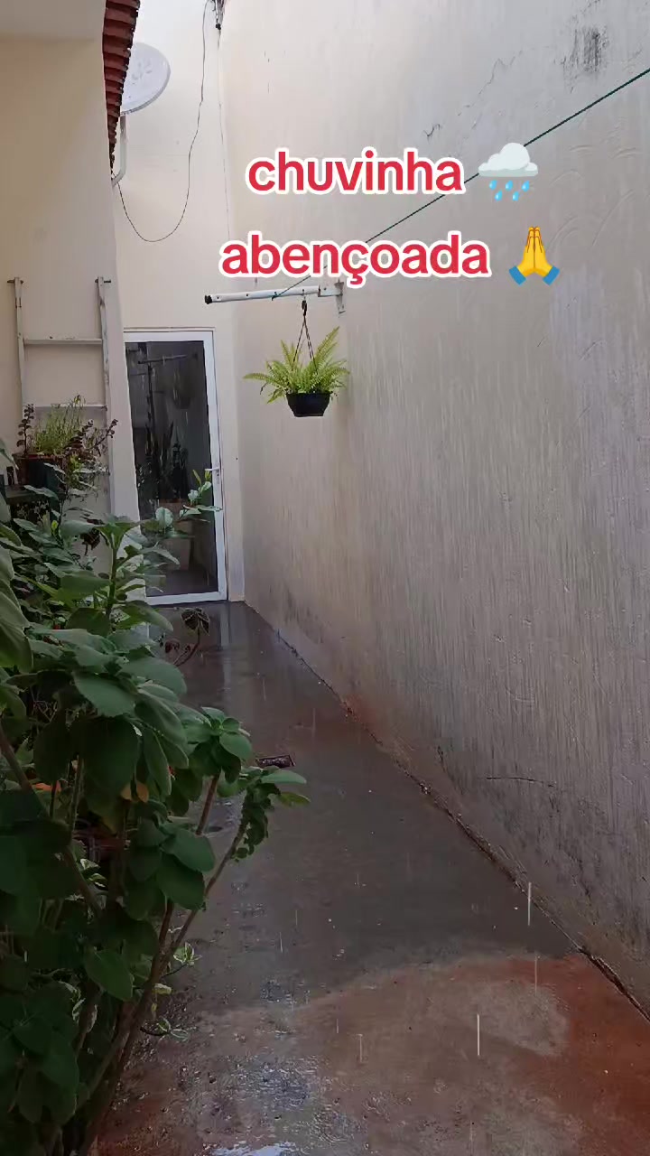 @loira rom&acirc;ntica