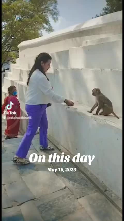 @bhumika