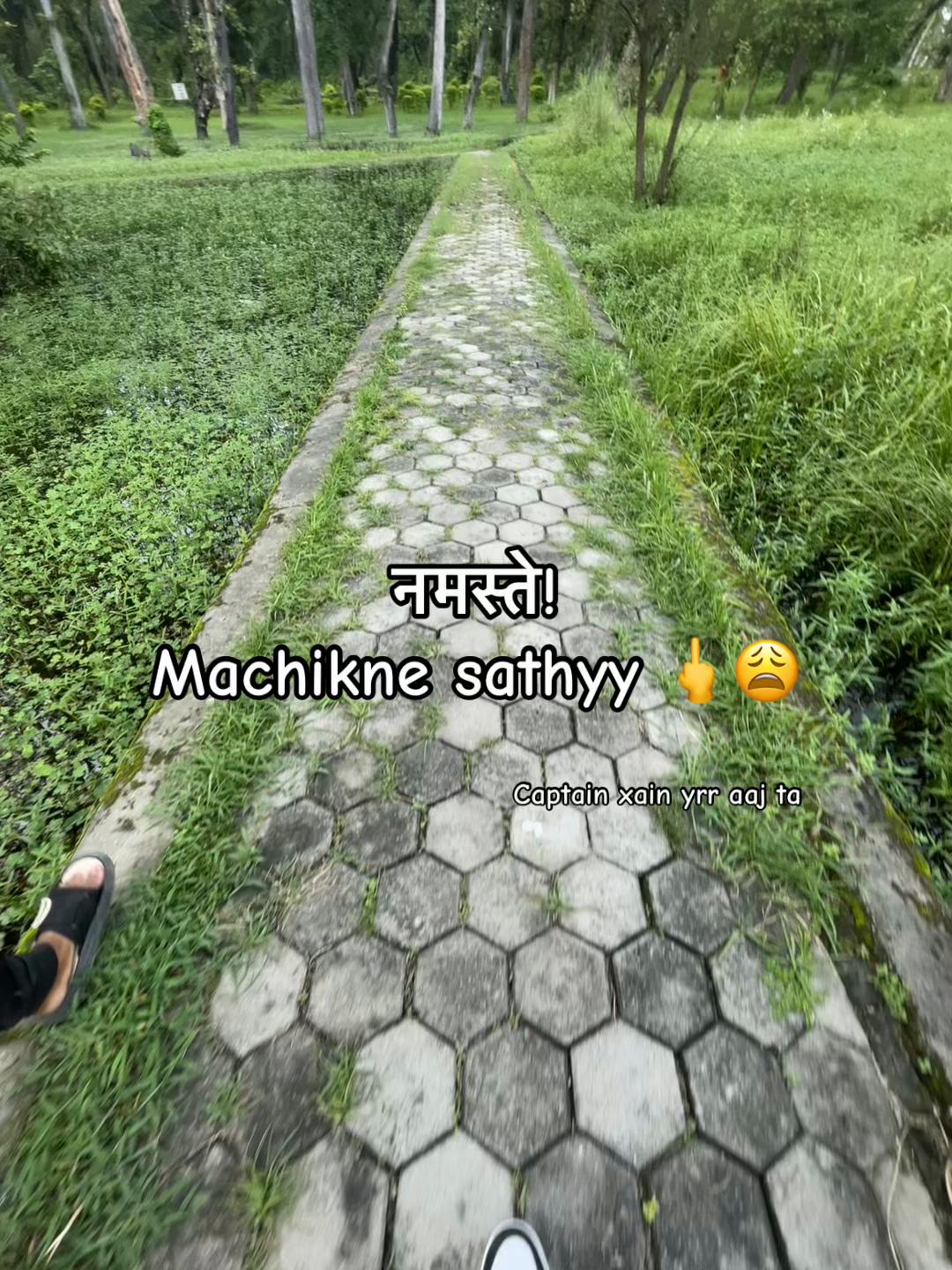 @LYLY 