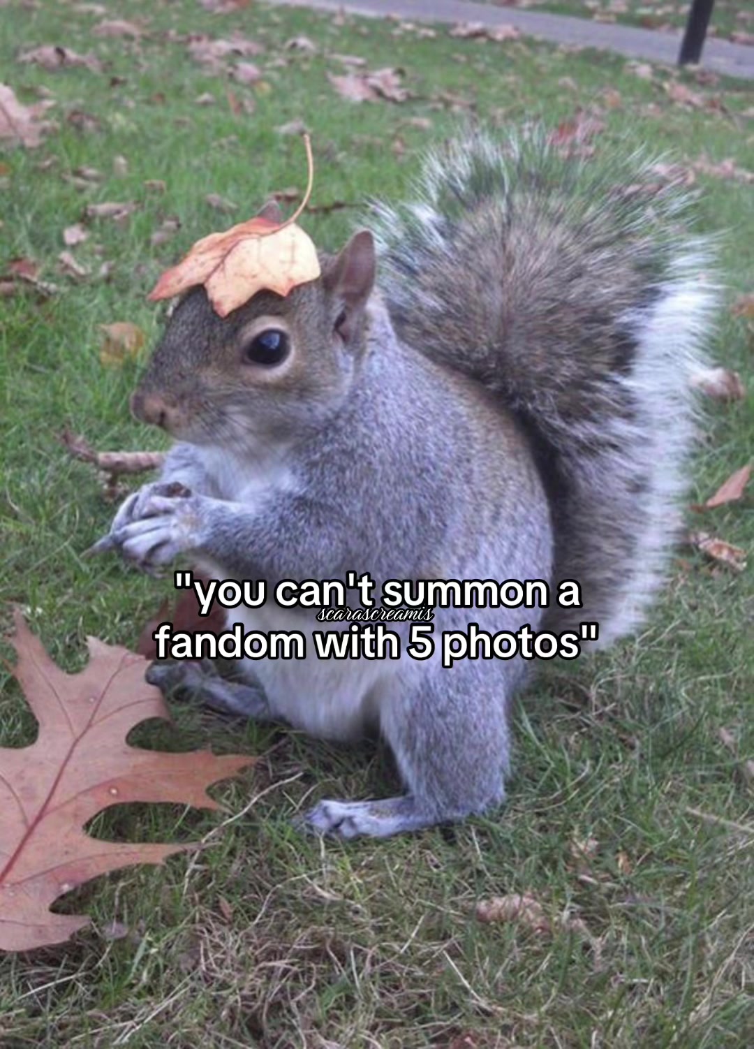 @scarascreamis