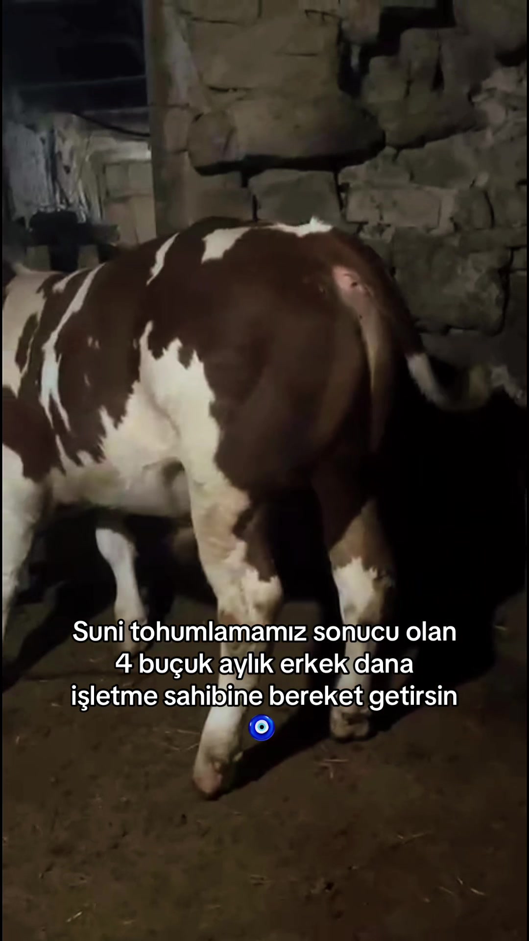 @Özgür AŞAN