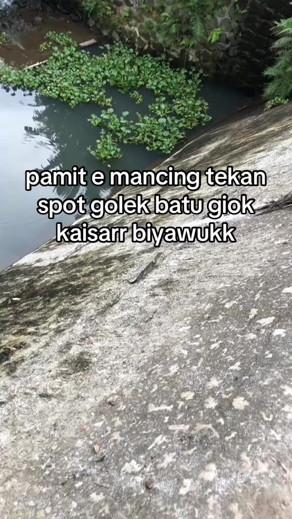 @ULTRA MICROFISHING