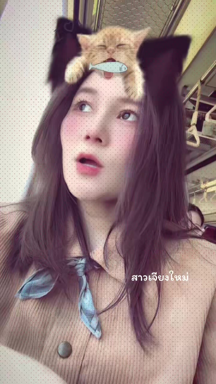 @mcmxciii_xix🪼🐾
