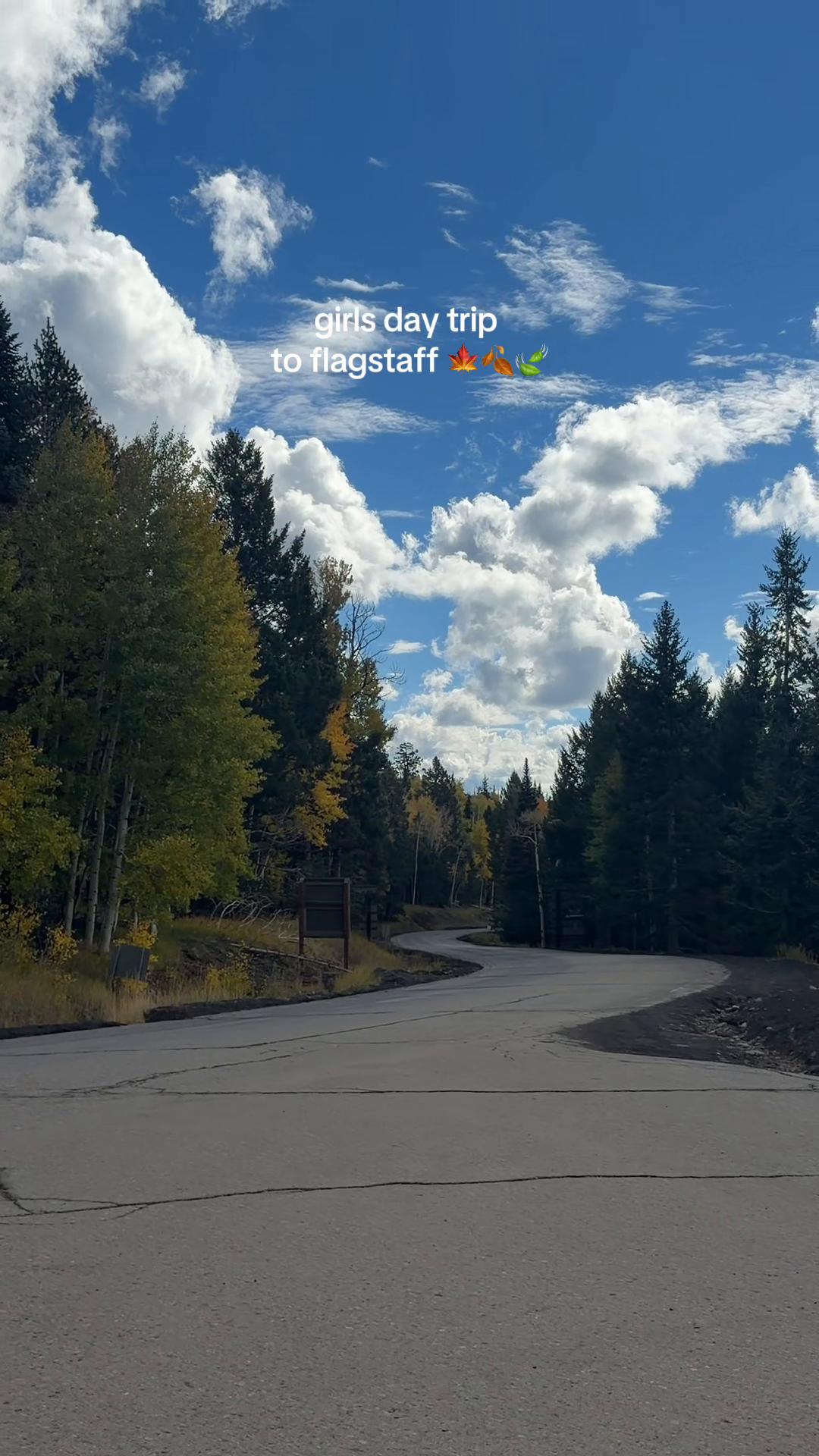 @estelle haugen