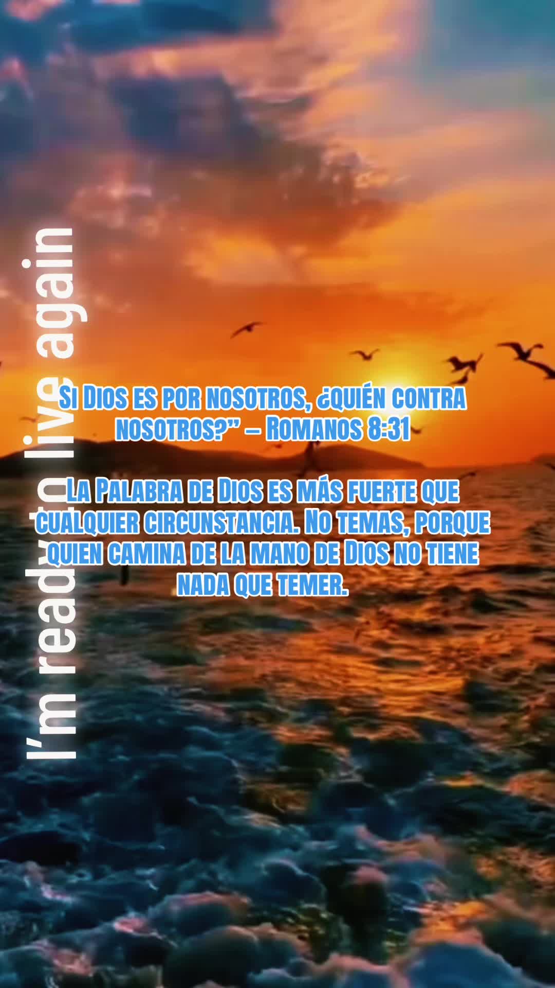 @13LesBelles13
