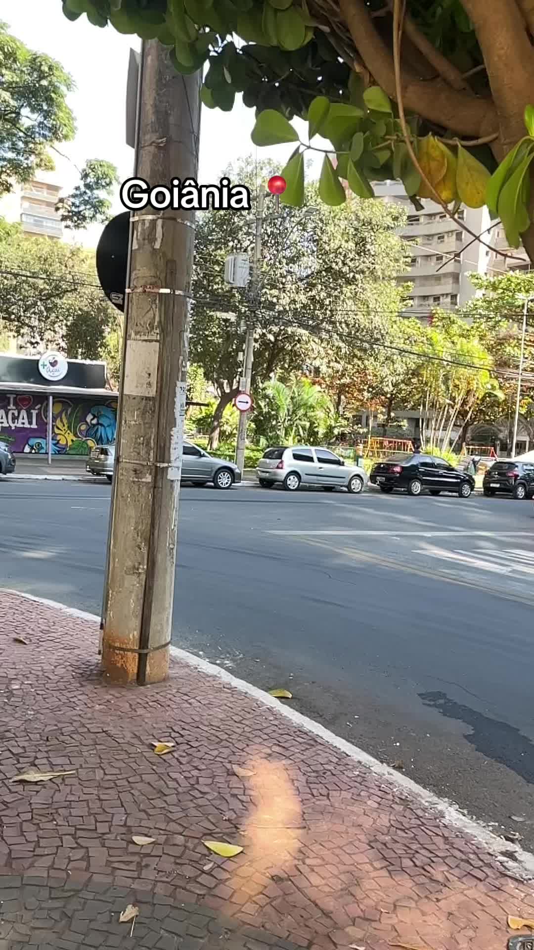 @Paixão Goiana