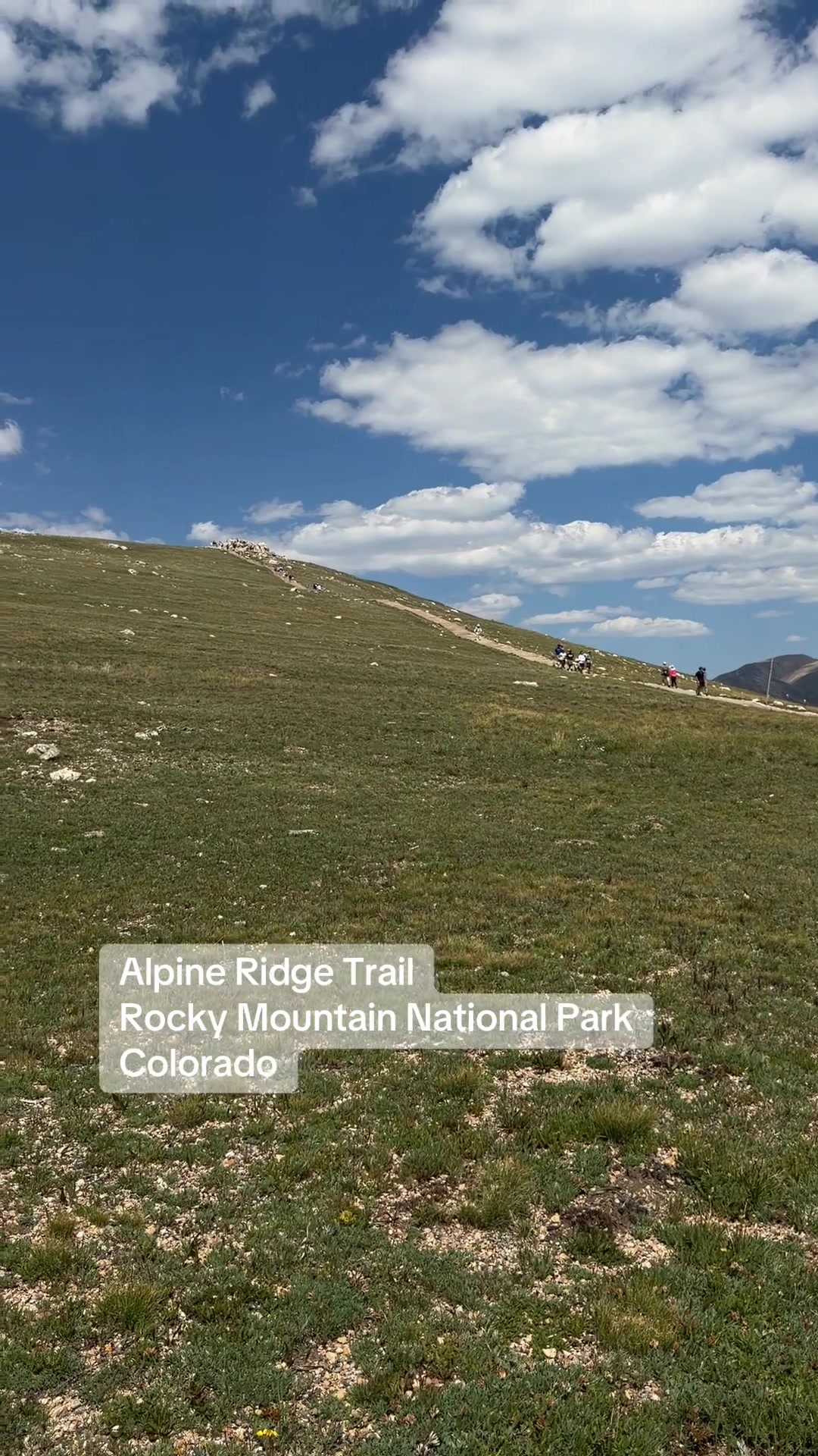 @Colorado Business Finder