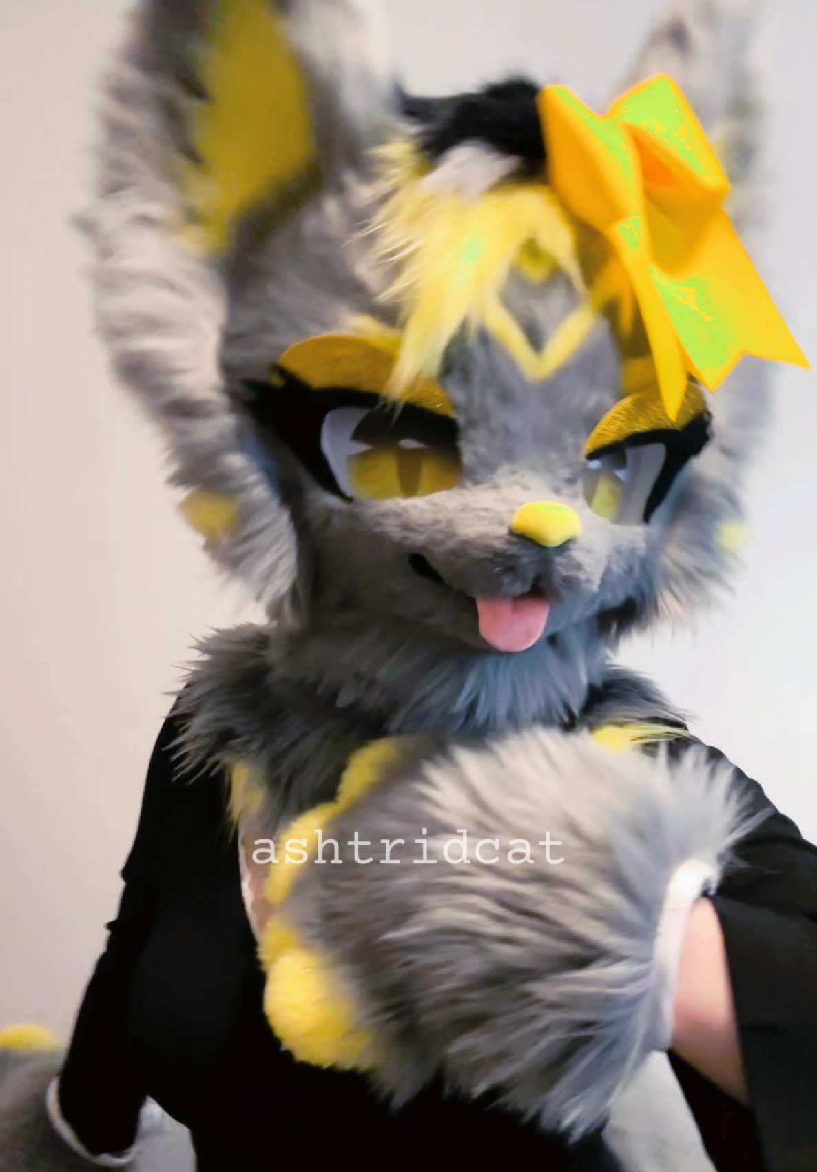 @AshtridCat