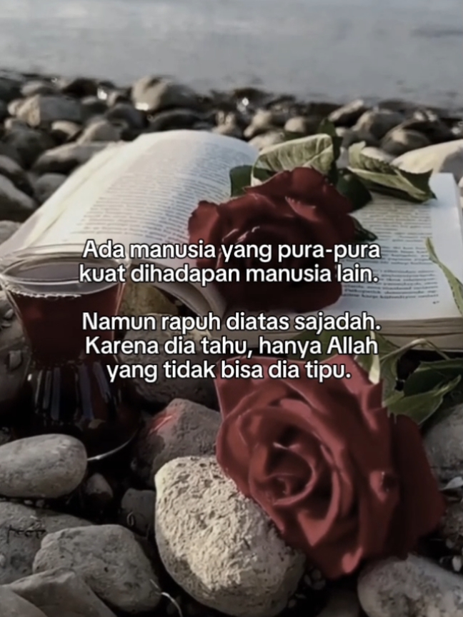 @🥀𝕼𝖆𝖎𝖗𝖆_𝕾𝖞𝖆𝖋𝖆𝖆🥀