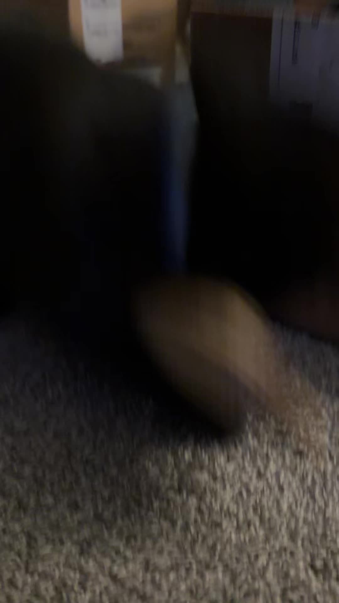@kareahreynolds