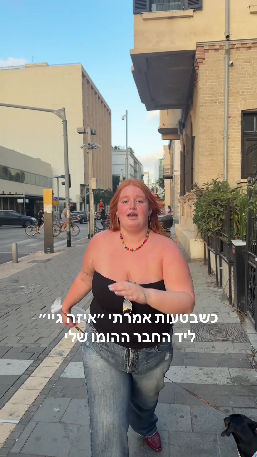 @Aviv Galil