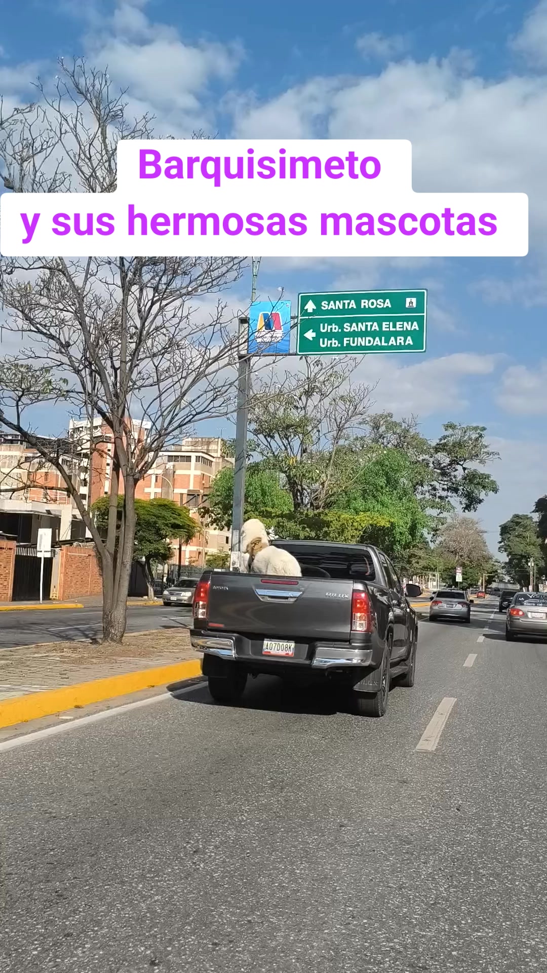 @concienciayciudadania