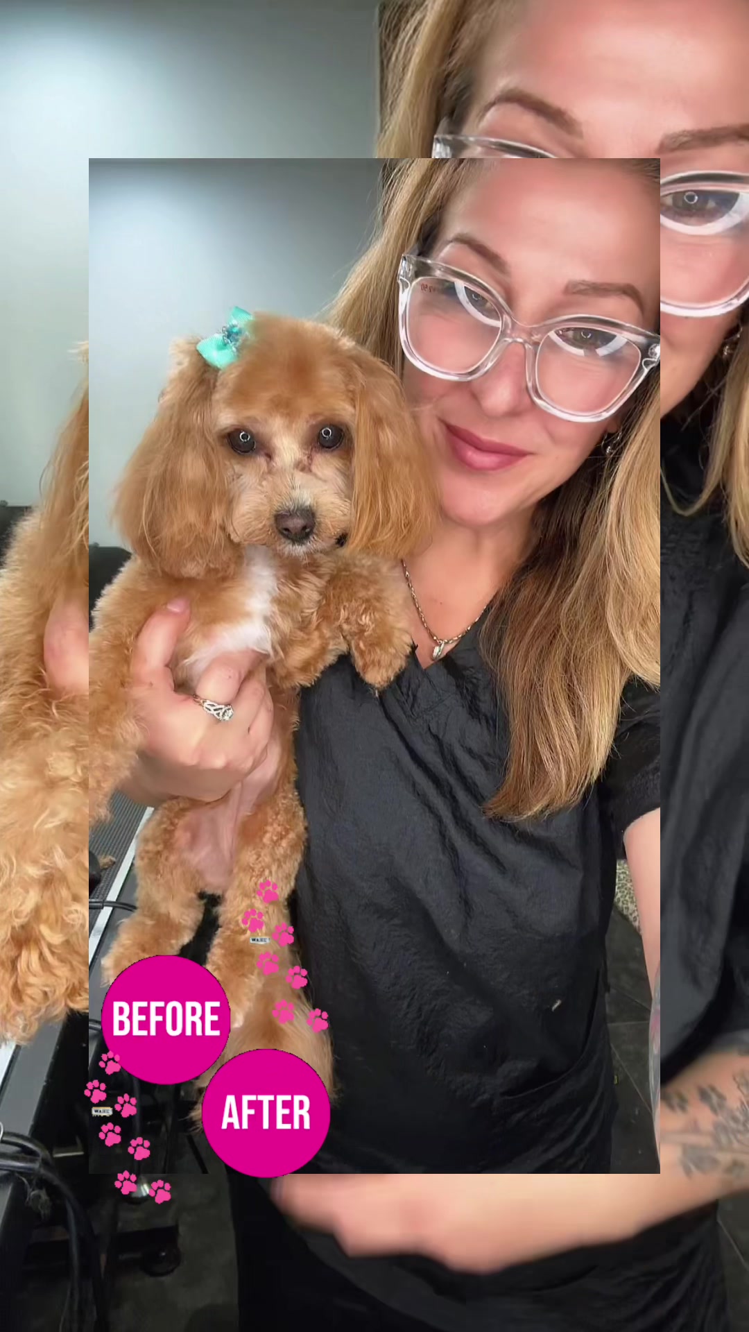 @Groomergonewild 🇨🇦
