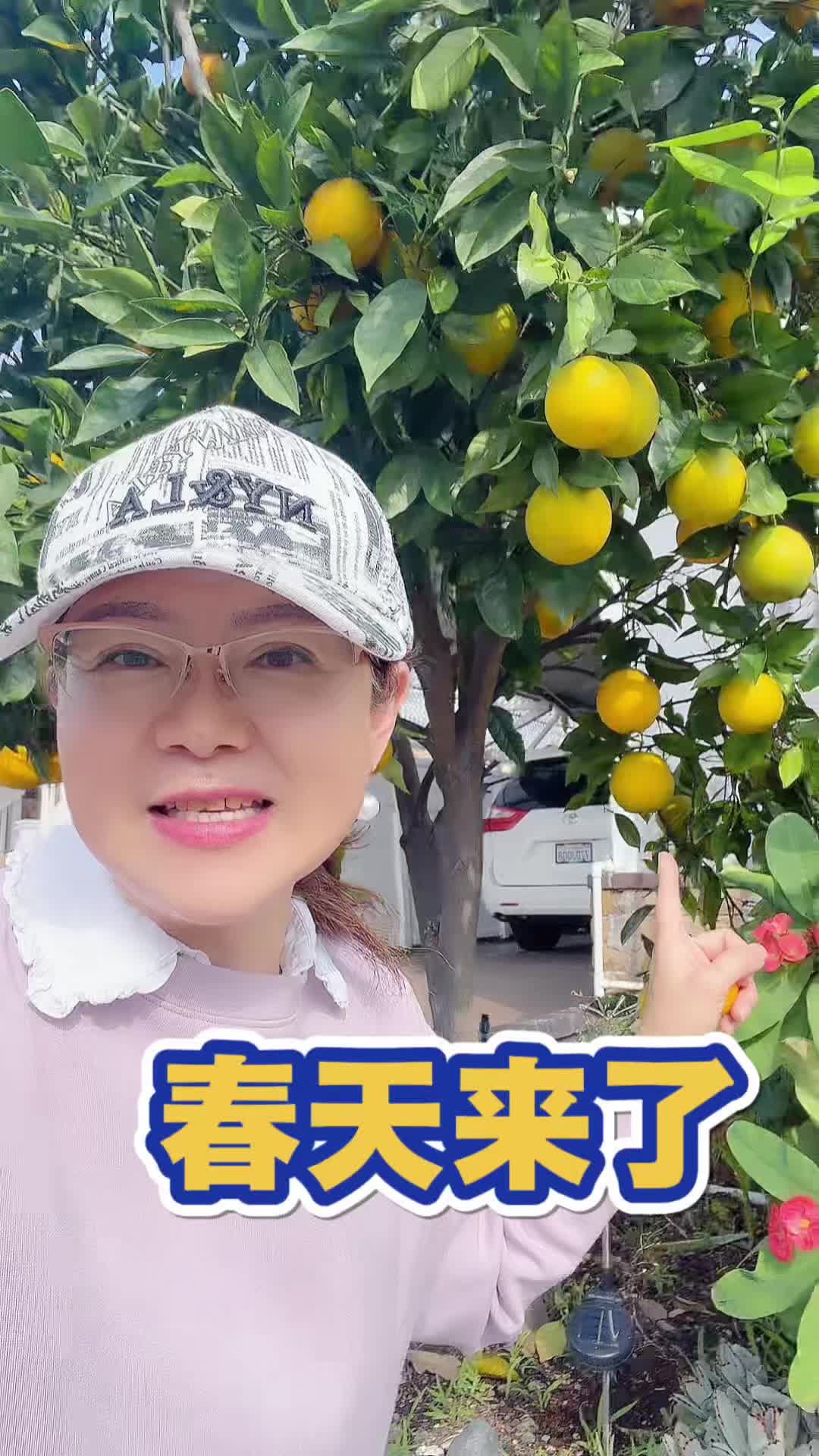 @琳达在美国