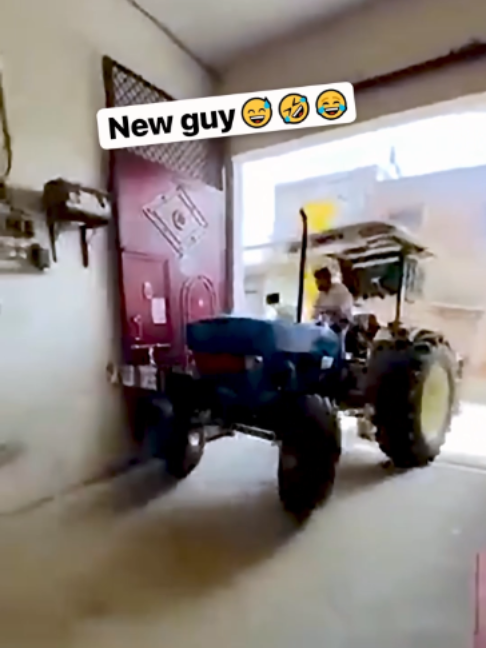 @DailyGoose