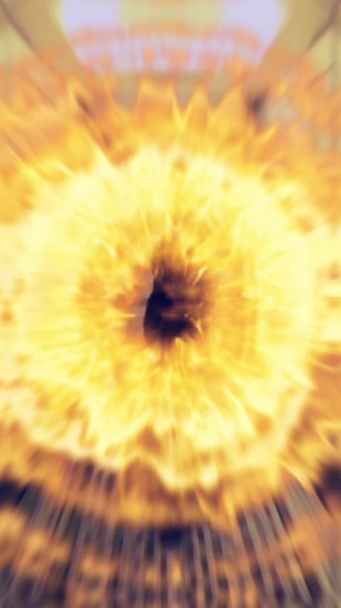 @GIF LOVER❤️