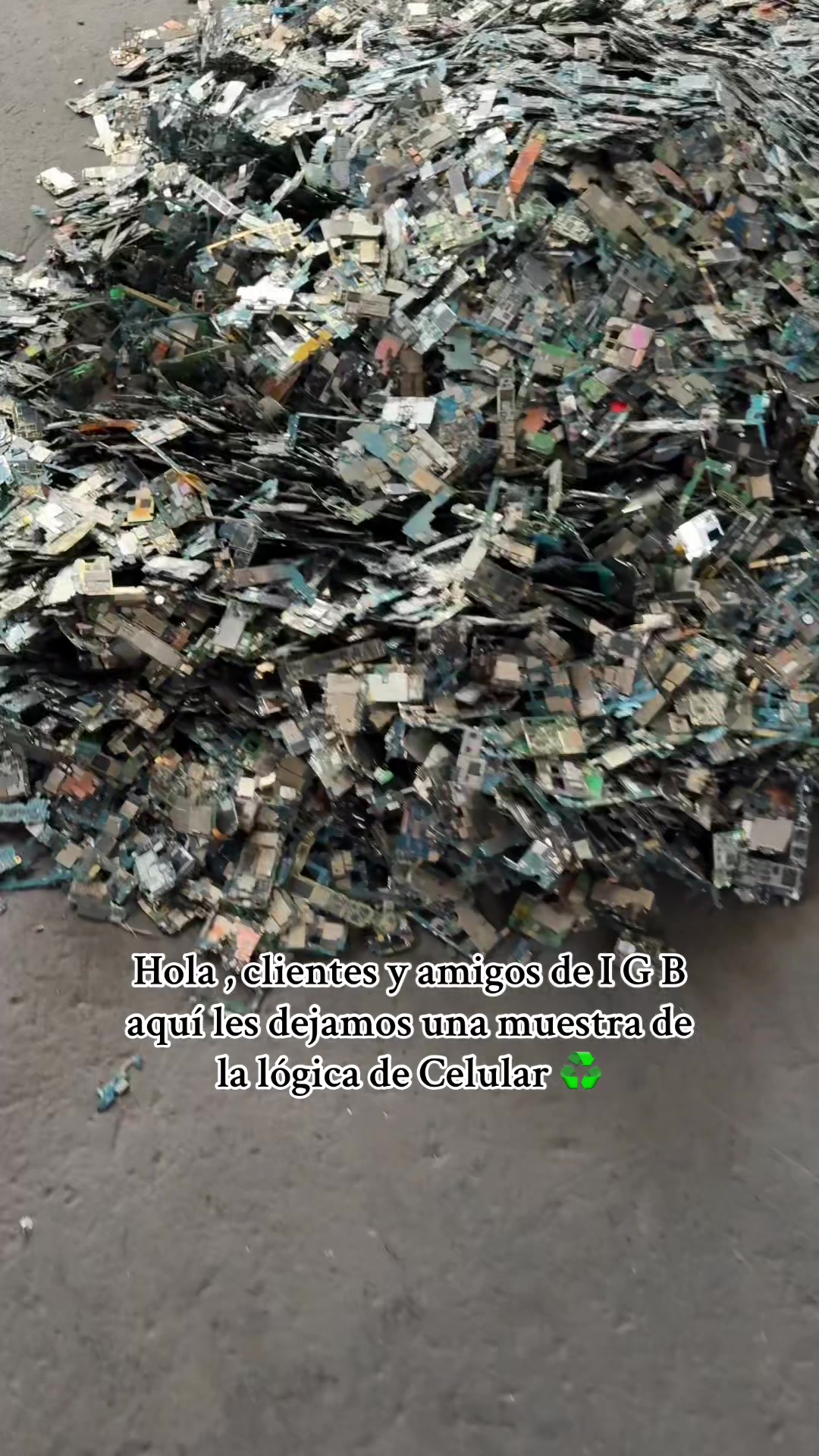 @IGB Recycler