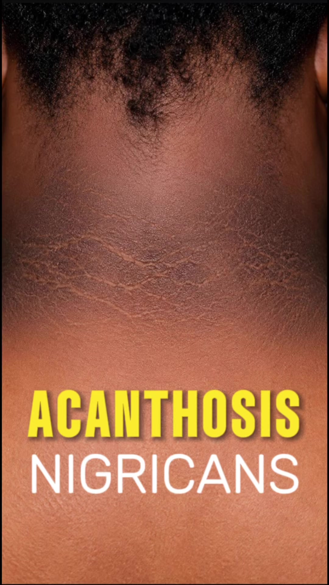 @Skin Dictionary