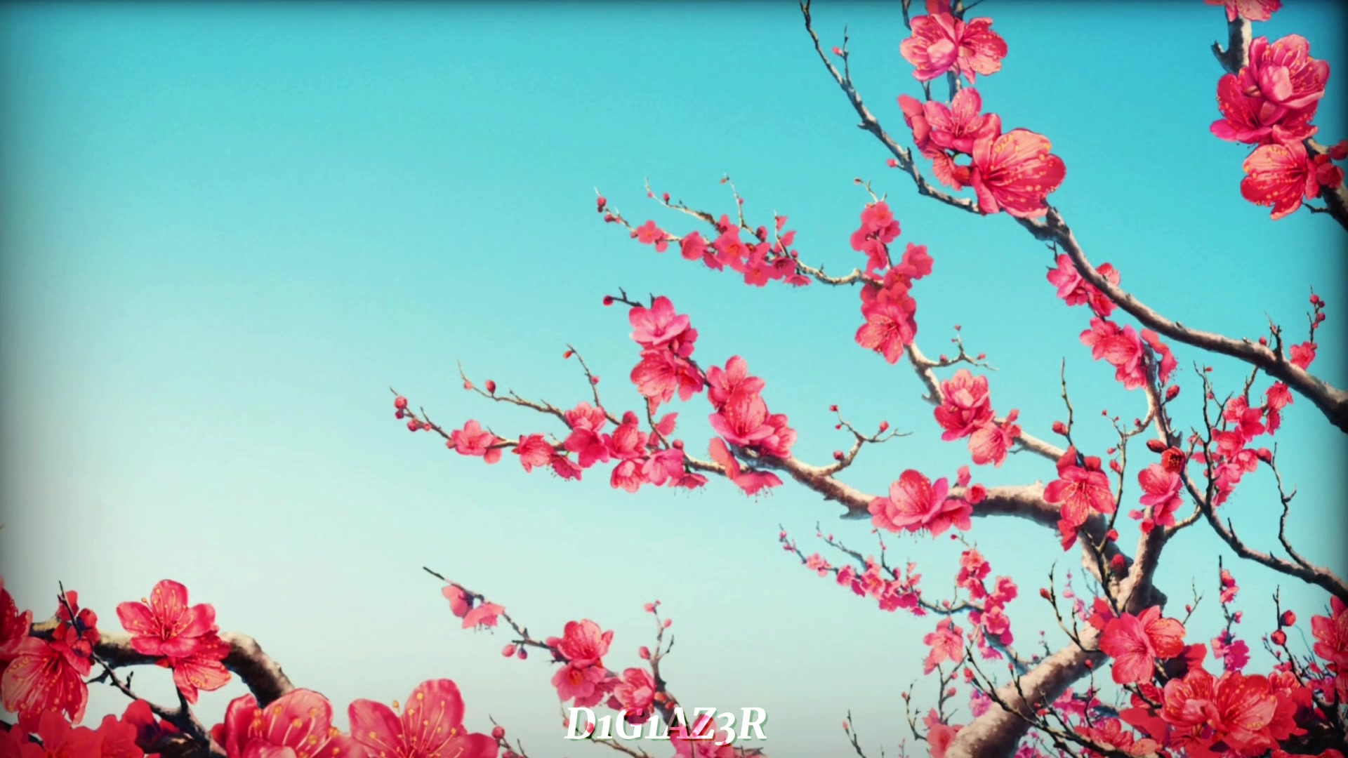 @ใใบโ๏ธ๐