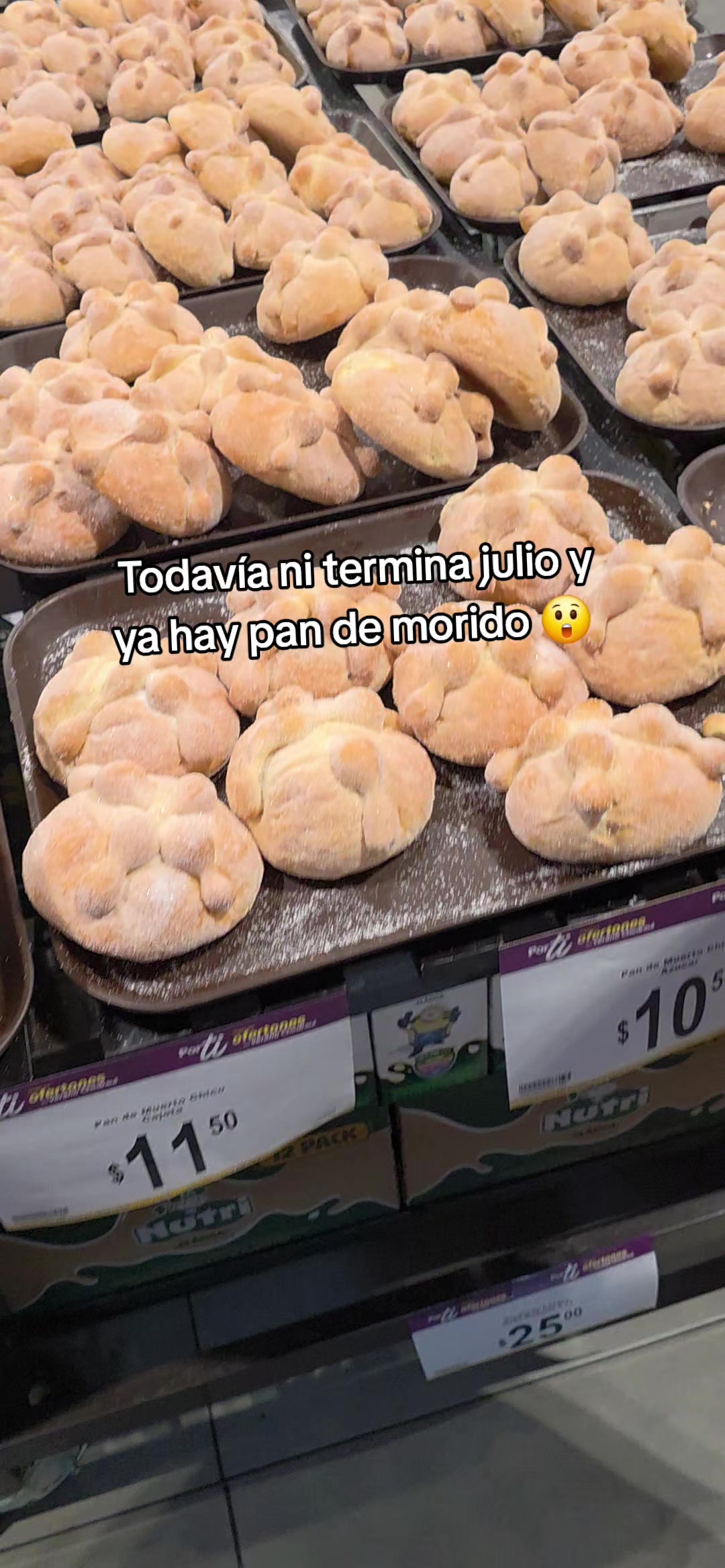 @ELCABALLERODELTIKTOK