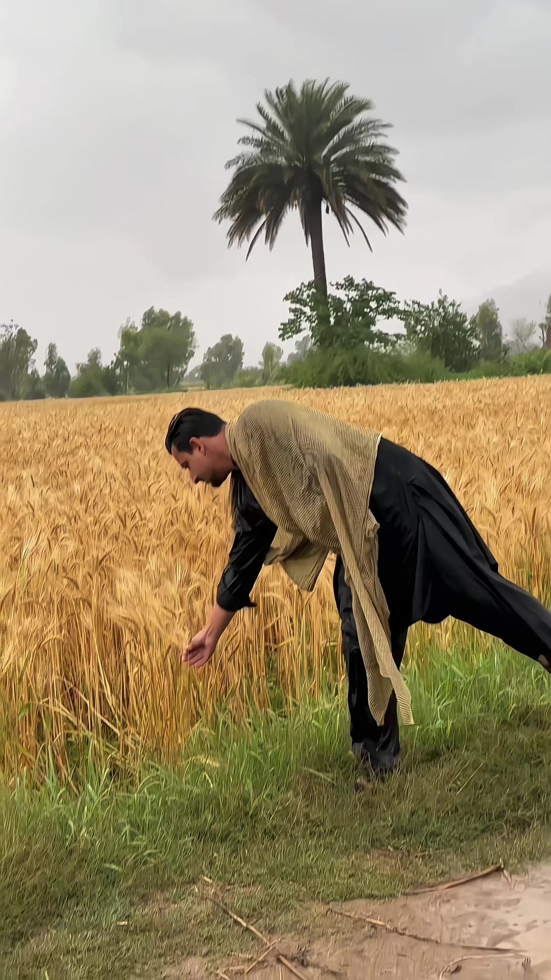 @چوہدری♛