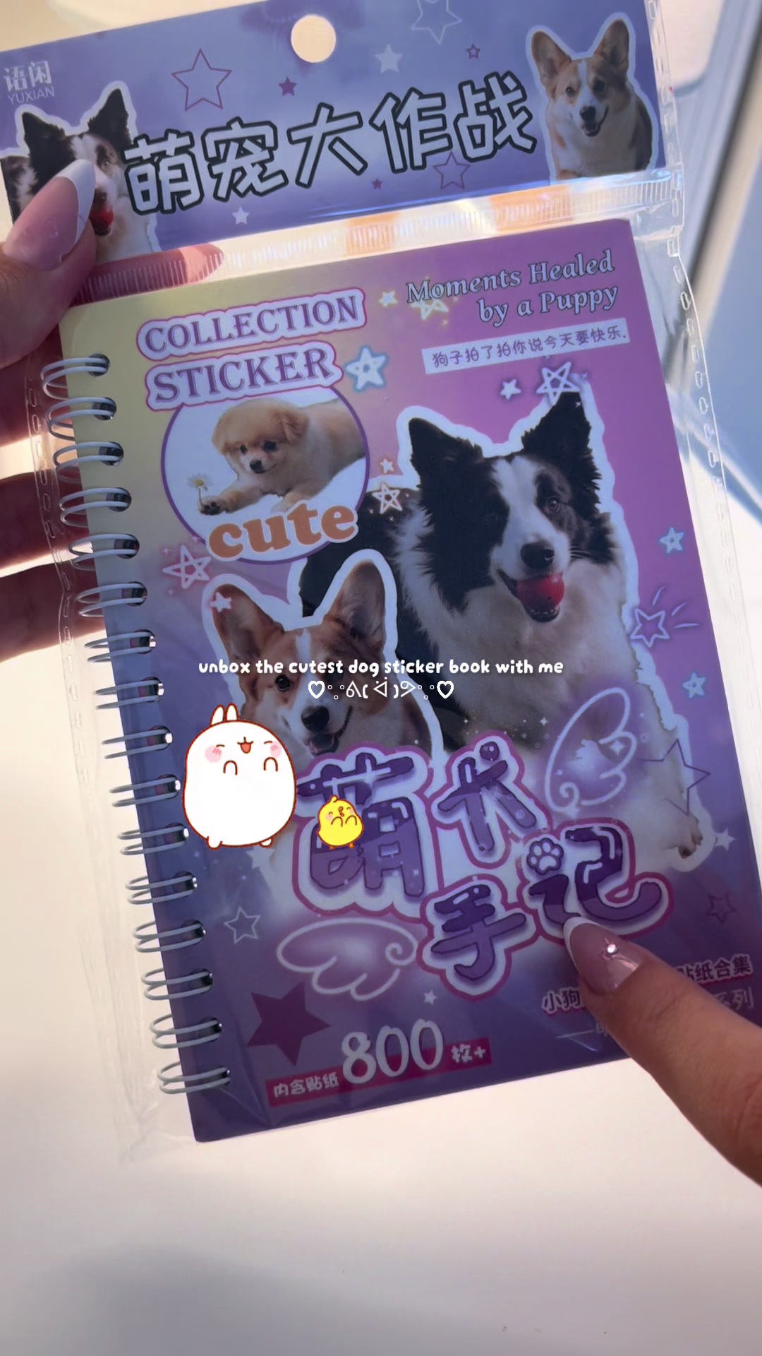 @⋆。˚꒰ঌ 𝐅𝐨𝐫𝐞𝐯𝐞𝐫 ໒꒱˚。⋆