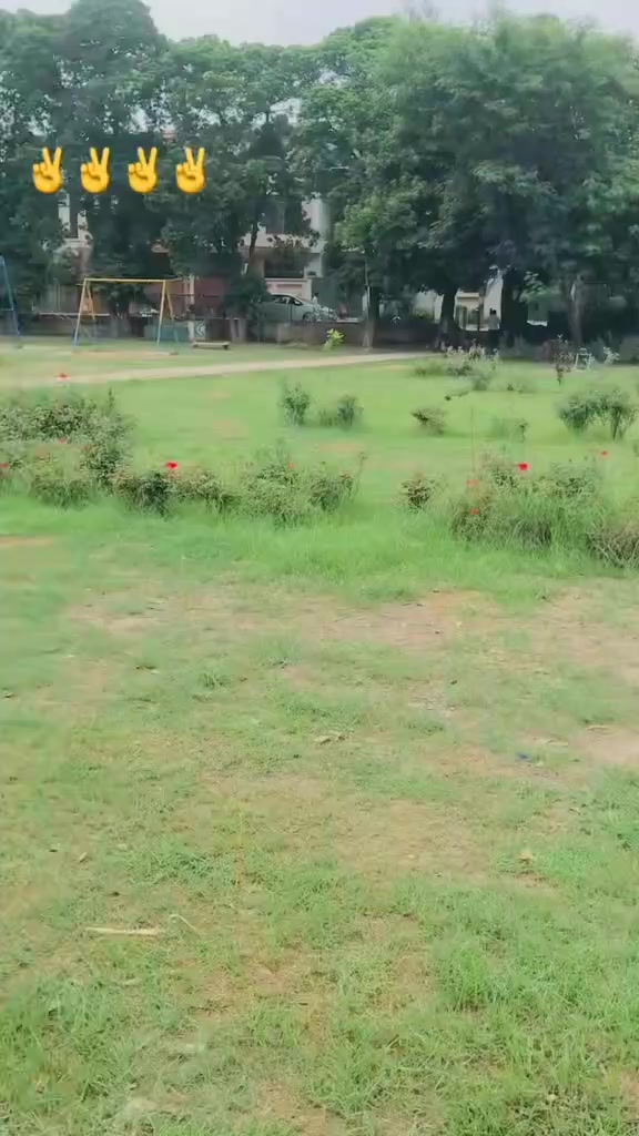 @Qasim07